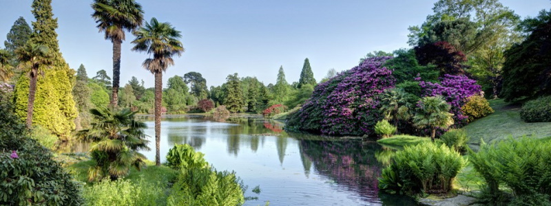 Gardens & Flower Shows – BOOK NOW